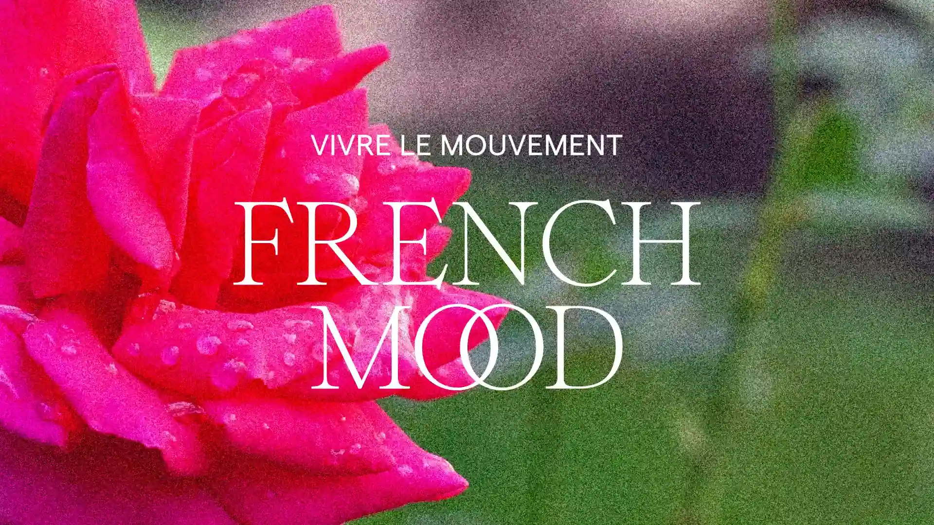 Photo d'une rose avec une typographie élégante